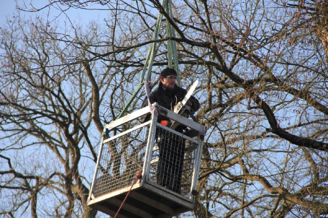 Arbeitseinsatz rund um das Vereinsheim am 7. Februar 2015_4